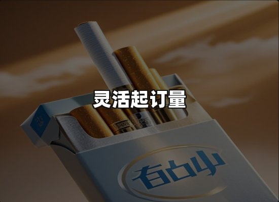 专业优势